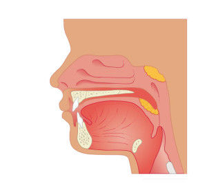 adenoidi-tonsille-benessere.atuttonet.it