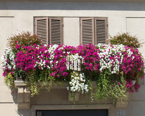 Kidsmodulor_5_balcone fiorito